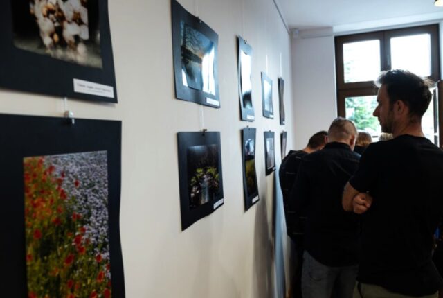 Podsumowanie konkursu "W zielonym kadrze - fotografie przyrody powiatu zgierskiego"