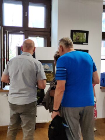 Podsumowanie konkursu "W zielonym kadrze - fotografie przyrody powiatu zgierskiego"