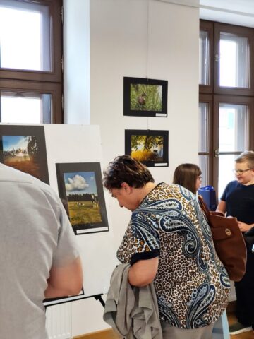 Podsumowanie konkursu "W zielonym kadrze - fotografie przyrody powiatu zgierskiego"