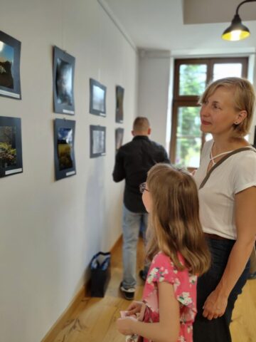 Podsumowanie konkursu "W zielonym kadrze - fotografie przyrody powiatu zgierskiego"