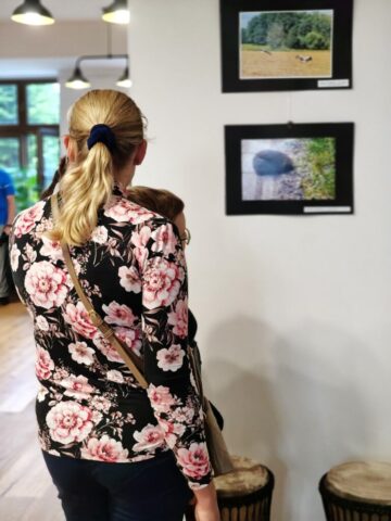 Podsumowanie konkursu "W zielonym kadrze - fotografie przyrody powiatu zgierskiego"